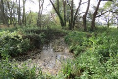 1.-Durliegh-Brook-upstream-from-Reservoir-6