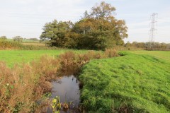 1.-Durliegh-Brook-upstream-from-Reservoir-63
