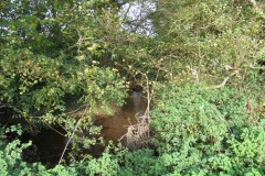 1.-Durliegh-Brook-upstream-from-Reservoir-66