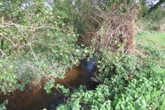 1.-Durliegh-Brook-upstream-from-Reservoir-68