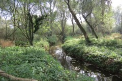 1.-Durliegh-Brook-upstream-from-Reservoir-7