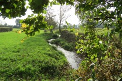 1.-Durliegh-Brook-upstream-from-Reservoir-79