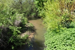 1. Looking upstream from Lower Washford Accommodation Bridge