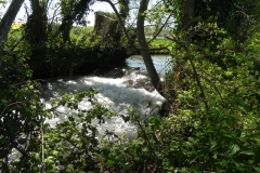 10. Weir Lower Washford