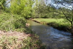 12. Upstream from Lower Washford