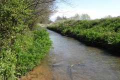29. Downstream from Kentsford Farm