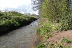 32. Flowing alongside the West Somerset Mineral Railway footpath