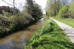 35. Flowing alongside the West Somerset Mineral Railway footpath