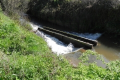37. Paper Mill Weir A