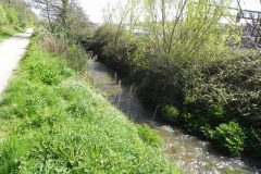 39. Flowing alongside the West Somerset Mineral Railway footpath