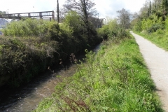 40. Flowing alongside the West Somerset Mineral Railway footpath