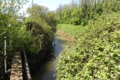 42. Paper Mill Pipe Bridge