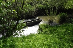 46. Paper Mill Weir B