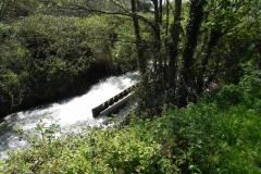 47. Paper Mill Weir B