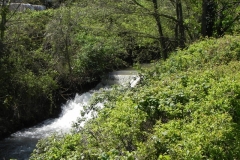 48. Paper Mill Weir B