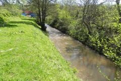 50. Flowing past paper mill