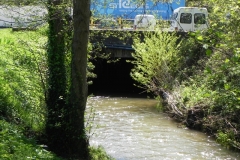 52. Paper Mill Culvert Upstream Inlet