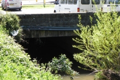 53. Paper Mill Culvert Upstream Inlet