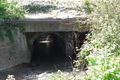 55. Watchet Railway Bridge downstream arch