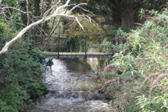 59. Watchet Mill Footbrige downstream face