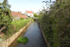 62. Looking downstream to Whitehall Bridge