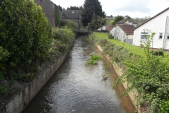 63. Looking upstream from Whitehall Bridge