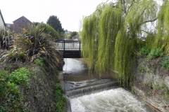 67. Whitehall Bridge downstream face