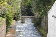 75. Looking downstream from Waterloo Cottages Footbridge