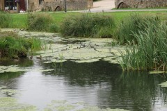 13.-Haselbury-Mill-3