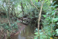 15.-Downstream-from-Haselbury-Old-Bridge-2