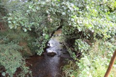 15.-Downstream-from-Haselbury-Old-Bridge-3