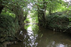18.-Looking-downstream-from-Haselbury-Old-bridge