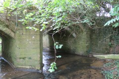 19.-Haselbury-Old-Bridge-upstream-arches-4