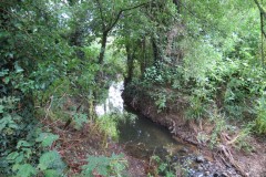 22.-Upstream-from-Haselbury-Old-Bridge-1