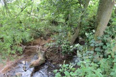 22.-Upstream-from-Haselbury-Old-Bridge-2