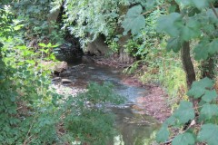 23.-Upstream-from-Haselbury-Old-Bridge-2