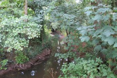 23.-Upstream-from-Haselbury-Old-Bridge-3