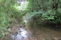 25.-Looking-upstream-from-Easthams-Bridge