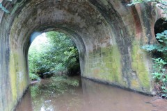 28.-Looking-upstream-through-Easthams-Bridge