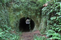 29.-ROW-footpath-beneath-A30-on-River-Parrett-Trail