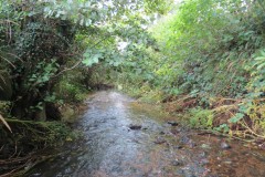 5.-Looking-downstream-from-ROW-Bridge-No.466
