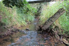 6.-Looking-upstream-from-ROW-Bridge-No.466
