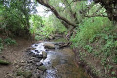8.-Downstreaqm-from-Haselbury-Mill-1