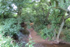 8.-Downstreaqm-from-Haselbury-Mill-2