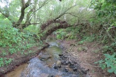 8.-Downstreaqm-from-Haselbury-Mill-3
