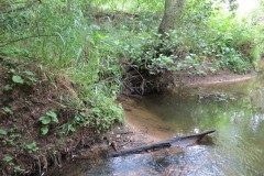 8.-Downstreaqm-from-Haselbury-Mill-6