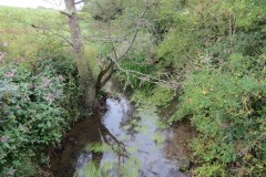 Upstream-from-ROW-Bridge-466-3