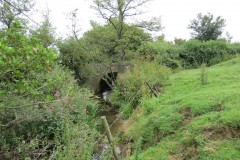 Upstream-from-ROW-Bridge-466-4