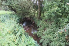 Upstream-from-ROW-Bridge-466-5
