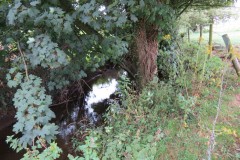 Upstream-from-ROW-Bridge-466-6